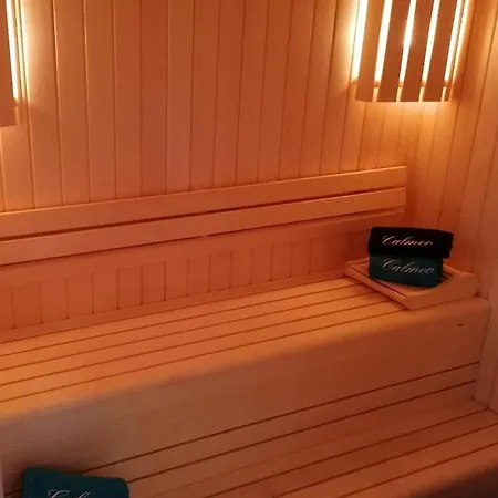 Avec Et Sauna Privatises Privat bolig